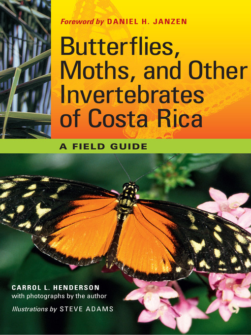 Title details for Butterflies, Moths, and Other Invertebrates of Costa Rica: a Field Guide by Carrol L. Henderson - Available